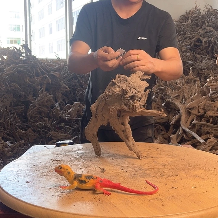 木282832鱼缸造景根雕艺术25