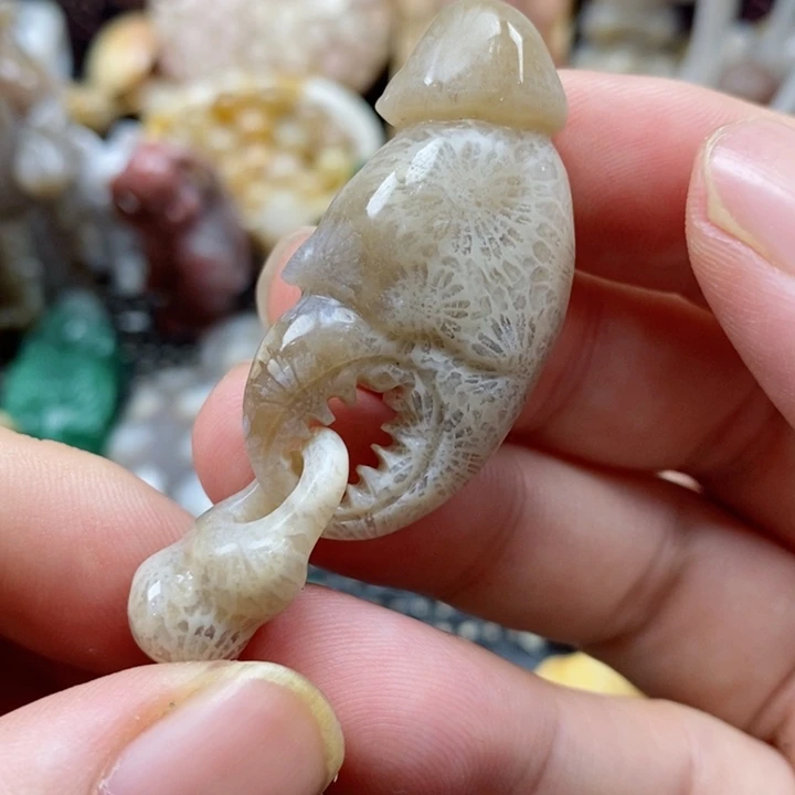 硅化珊瑚（珊瑚玉）颈饰未镶嵌