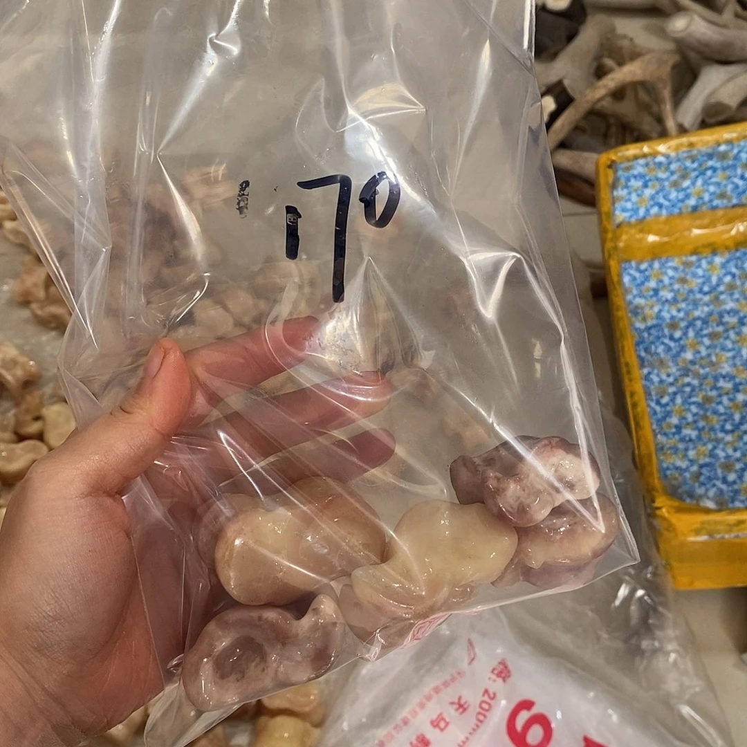 任***姓非金属鹿骨鹿骨鹿骨
