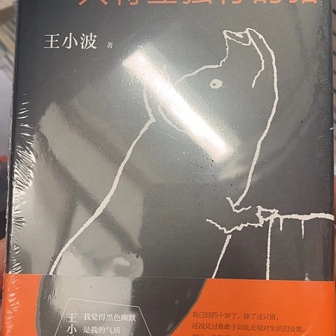 一只特立独行的猪 8 闪购闪购