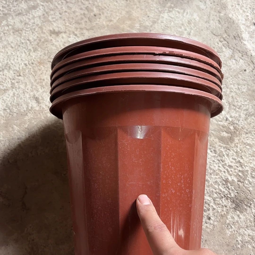 红砖盆220口径发10个