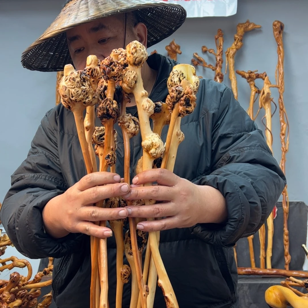 黑果木其他三*只黑果木385