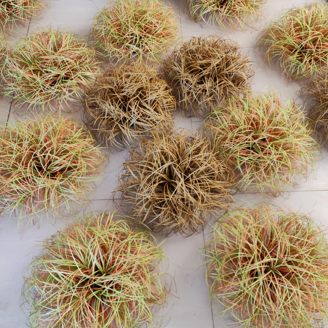 仿真草团 工程造景枯色小草 秋色系干草堆 草坪球