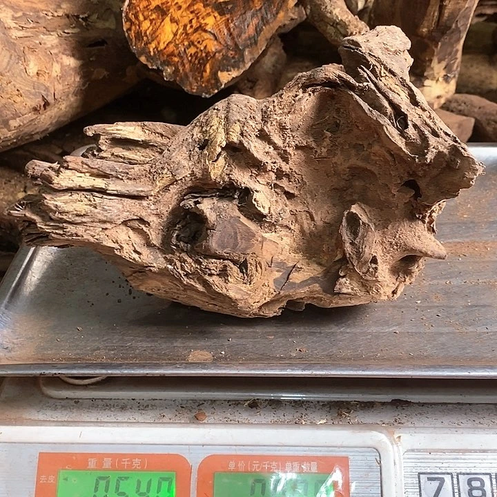 花梨木类人*者海南花梨