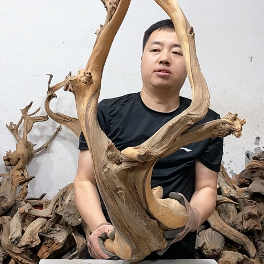 【闪购商品】柏木闻**香我们都是好孩子