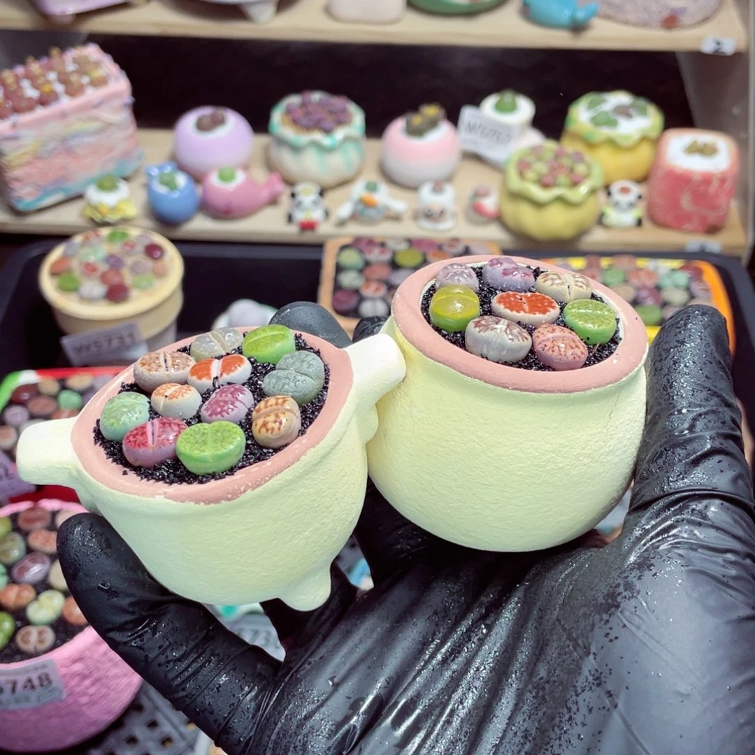 夜间零下地区拍保温箱w5777