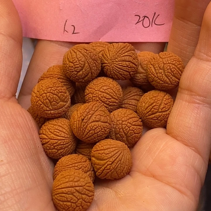 桃核吊坠秦岭龙纹桃核1