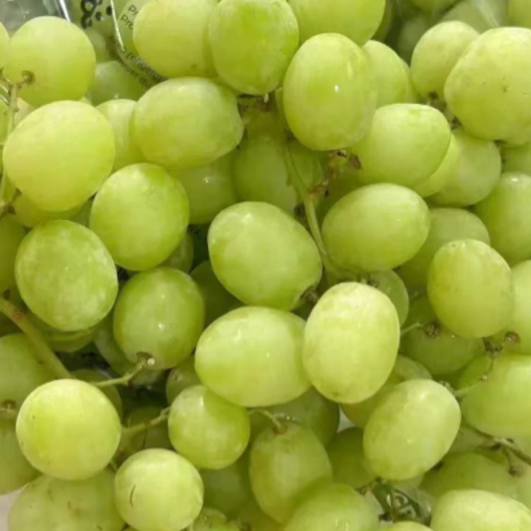 甜地球青提 好吃的停不下来青提