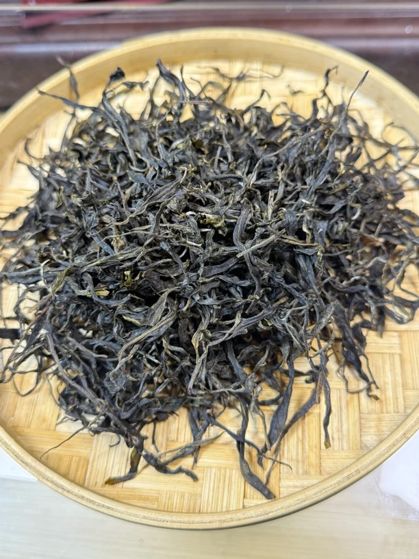 28号 大丙山2025年 二嘎子 单株 散茶