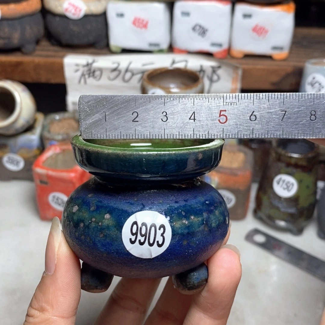 拍5送一个小礼物