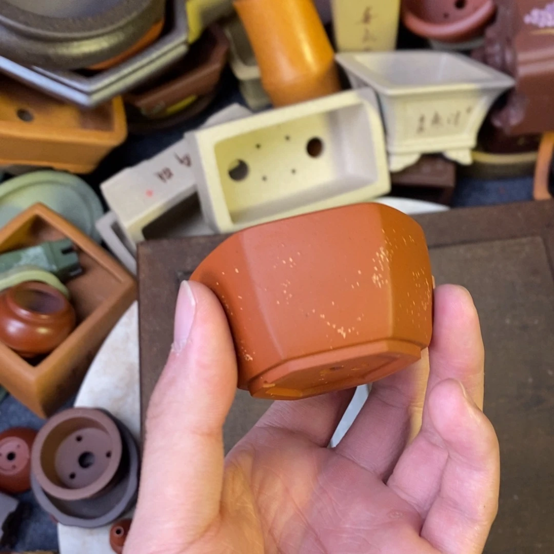 泥塑6+3vvvvvvvvvvvvvv