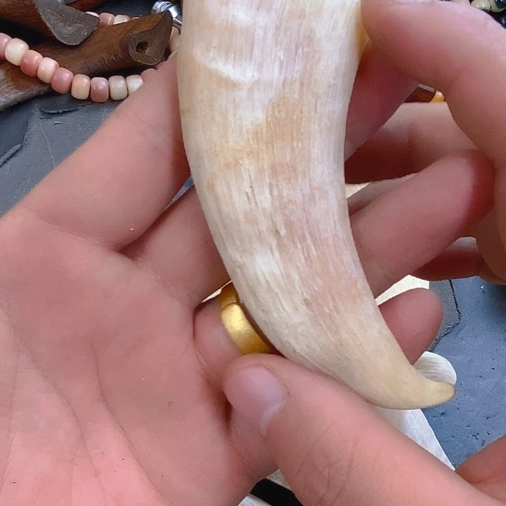 大果紫檀（缅甸花梨）1092