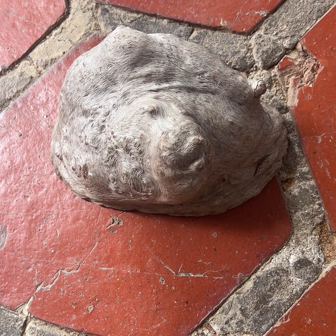 滇***烫荔枝木荔枝木毛料