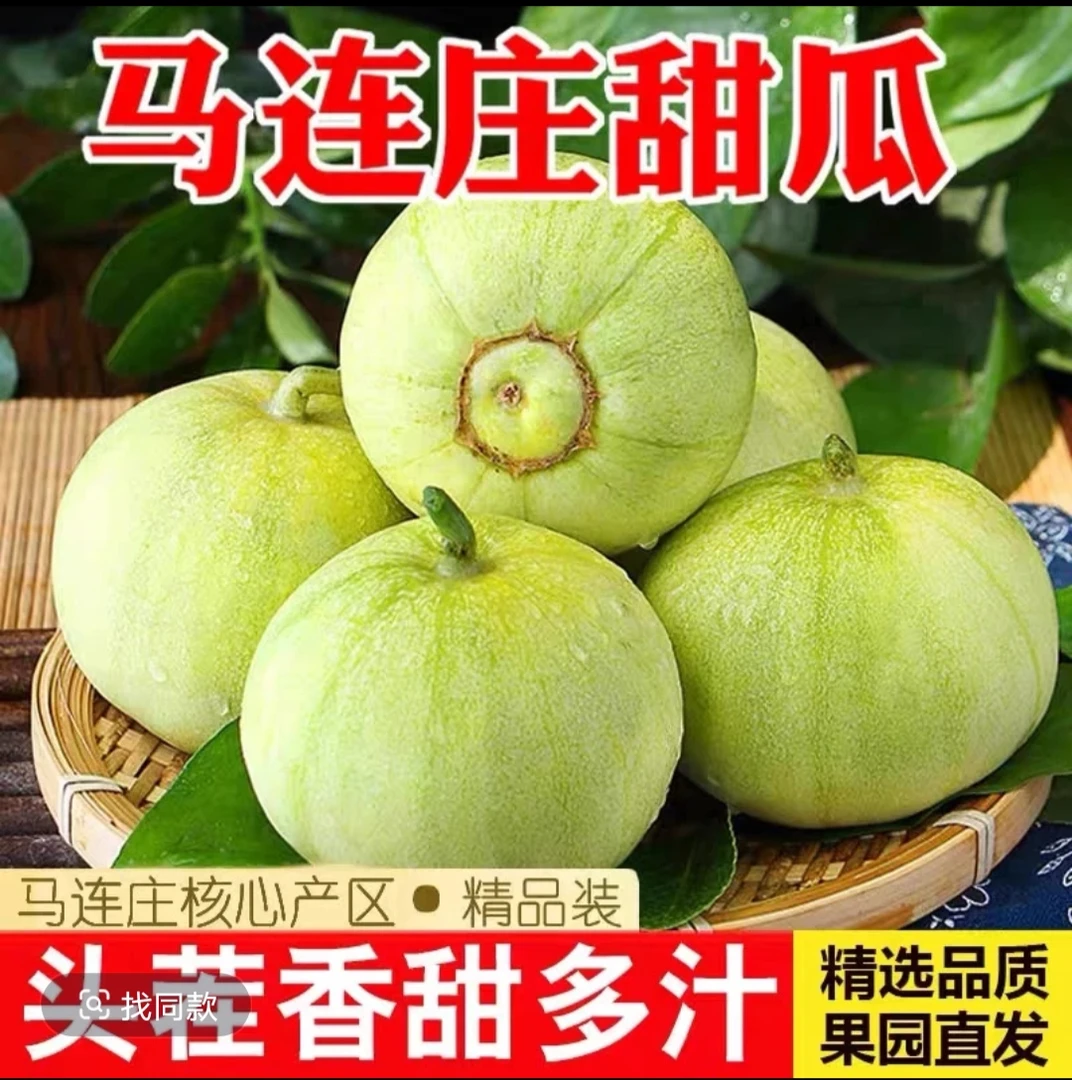 山东马连庄甜瓜 脆甜爽口 产地直发