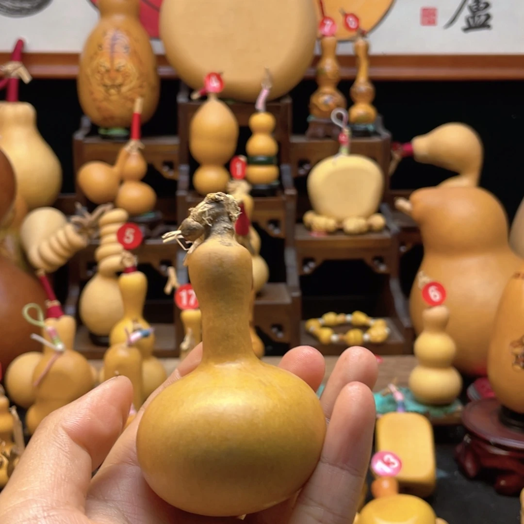 半****云大自然的秘密第十一章第一