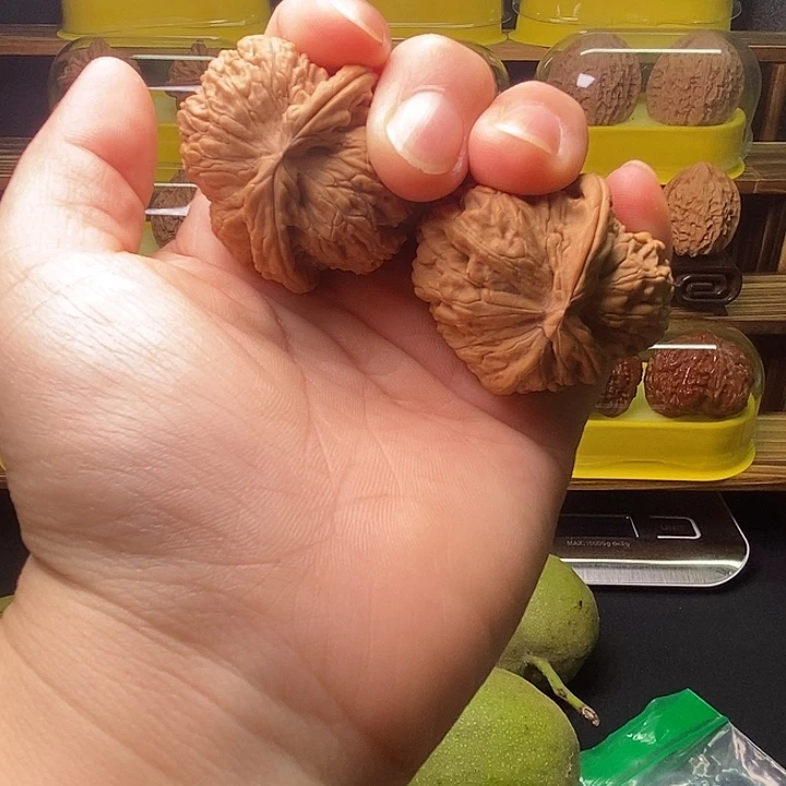 大***哥龙脊菩提把件文玩核桃吊坠把件