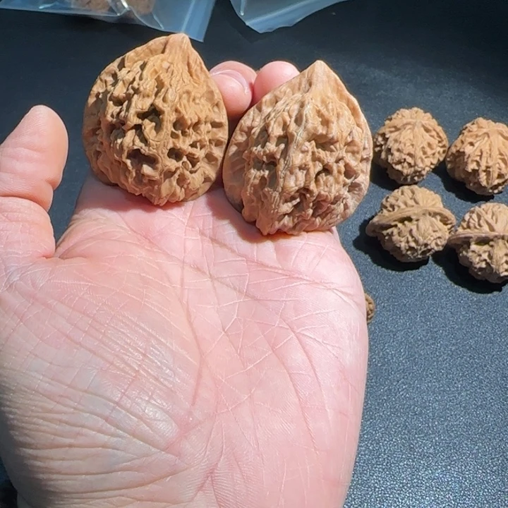 文玩核桃把件太行山脉野生