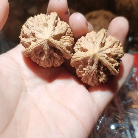 猴头核桃吊坠7**生36三棱