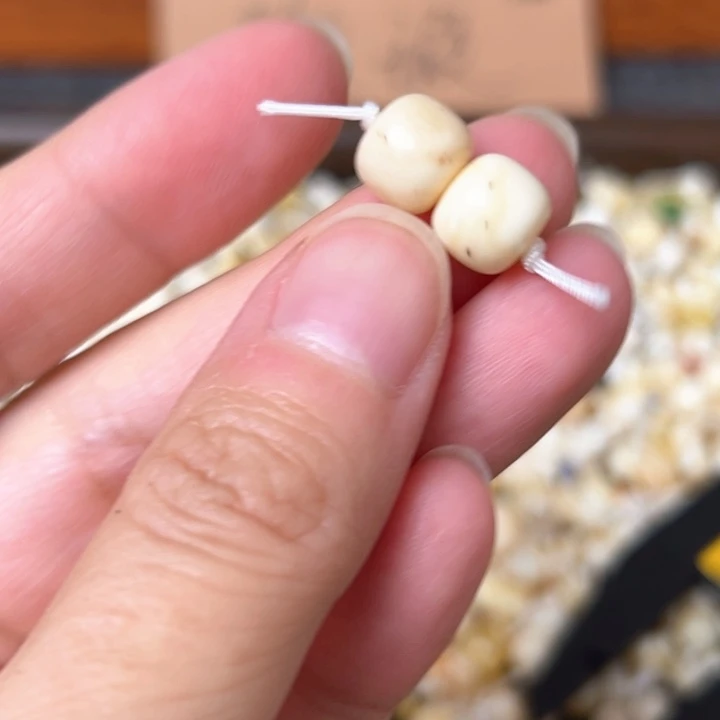 蜜蜡未镶嵌裸石8.9mm一对