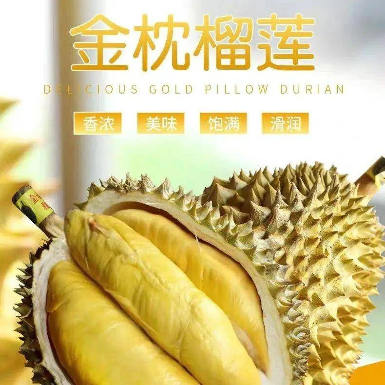 甘肃省包邮【A级】新鲜金枕榴莲约2-12斤