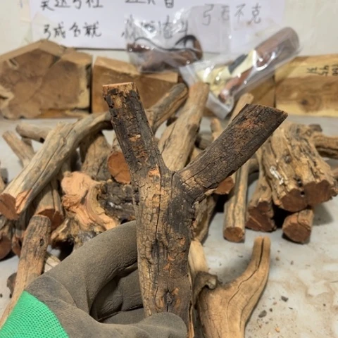 大果紫檀（缅甸花梨）老*鱼