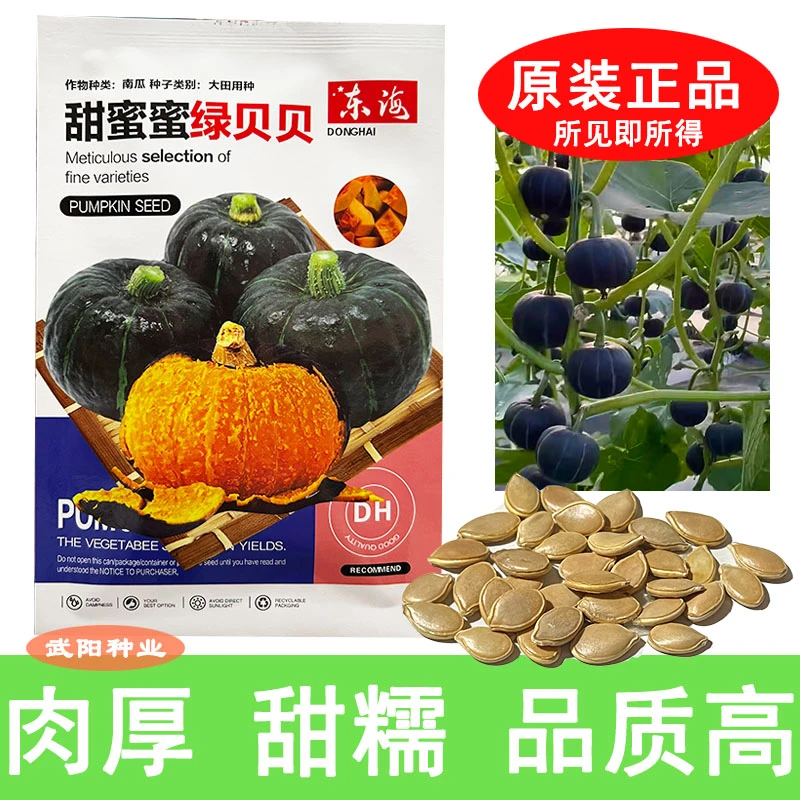 板栗香味贝贝南瓜迷你小南瓜软糯甘甜农家蔬菜