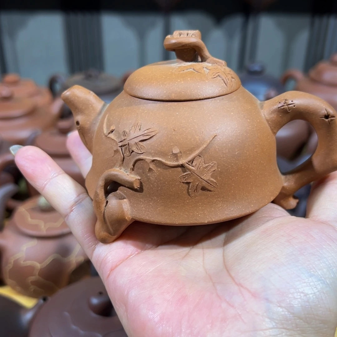 壶55号白云推荐推荐