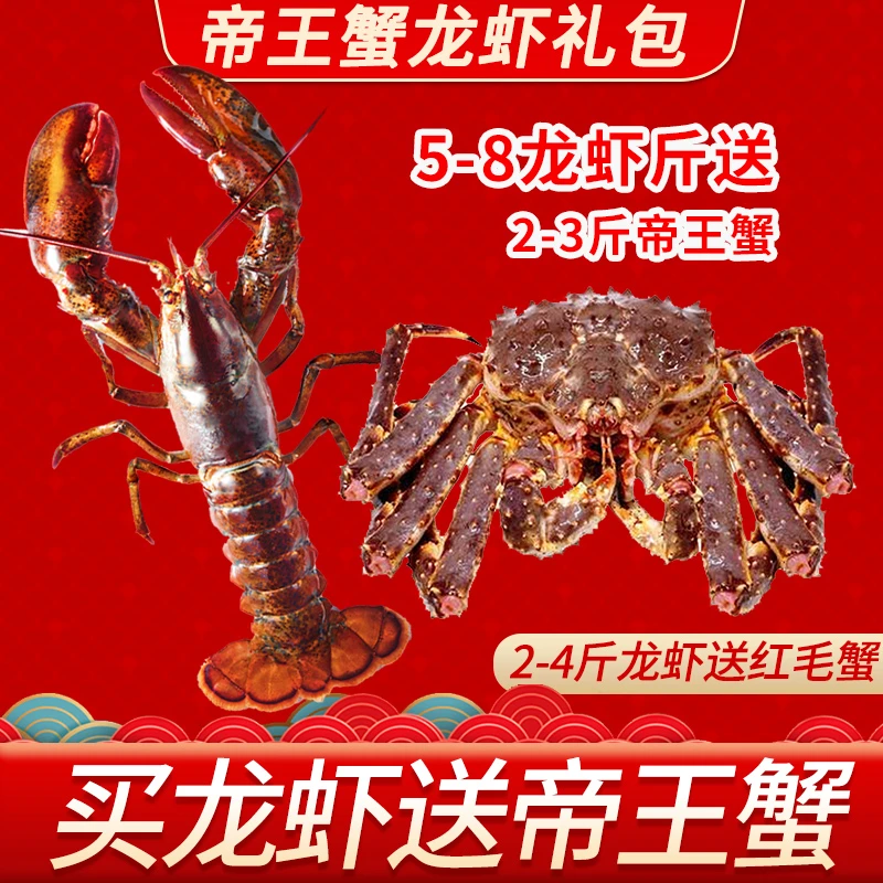 2-8斤超大波士顿龙虾帝王蟹红毛蟹海鲜礼包