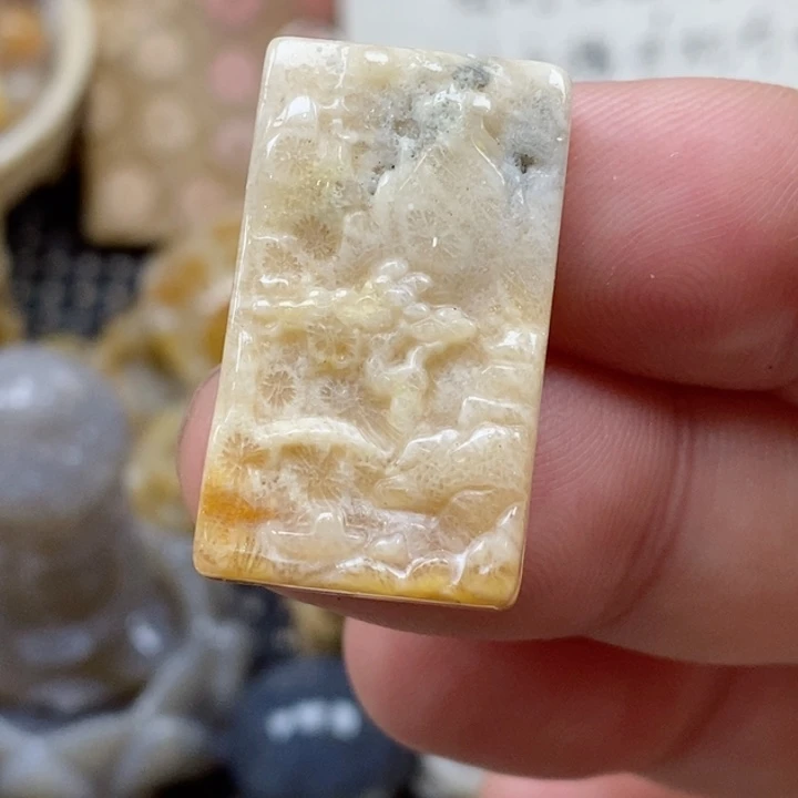 颈饰未镶嵌硅化珊瑚（珊瑚玉）有瑕 小