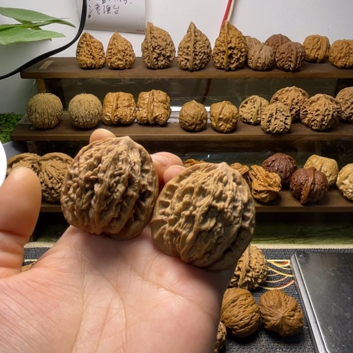 麦穗全品41.38.43