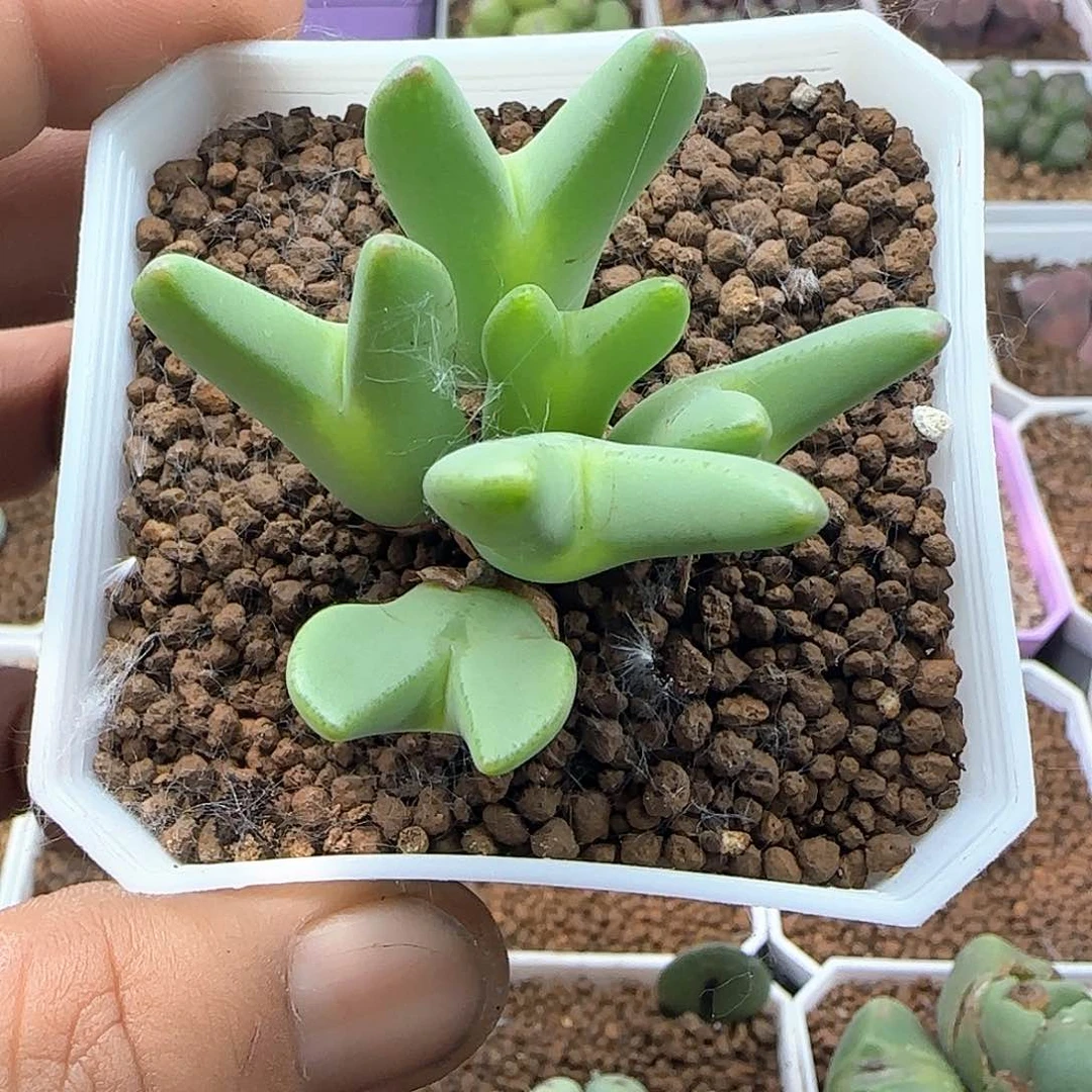 谦**沉哈哈哈哈家37294