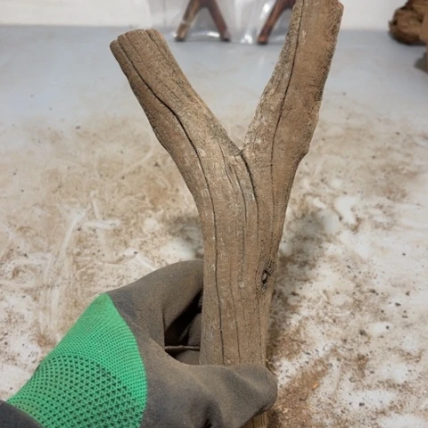 大果紫檀（缅甸花梨）核****工