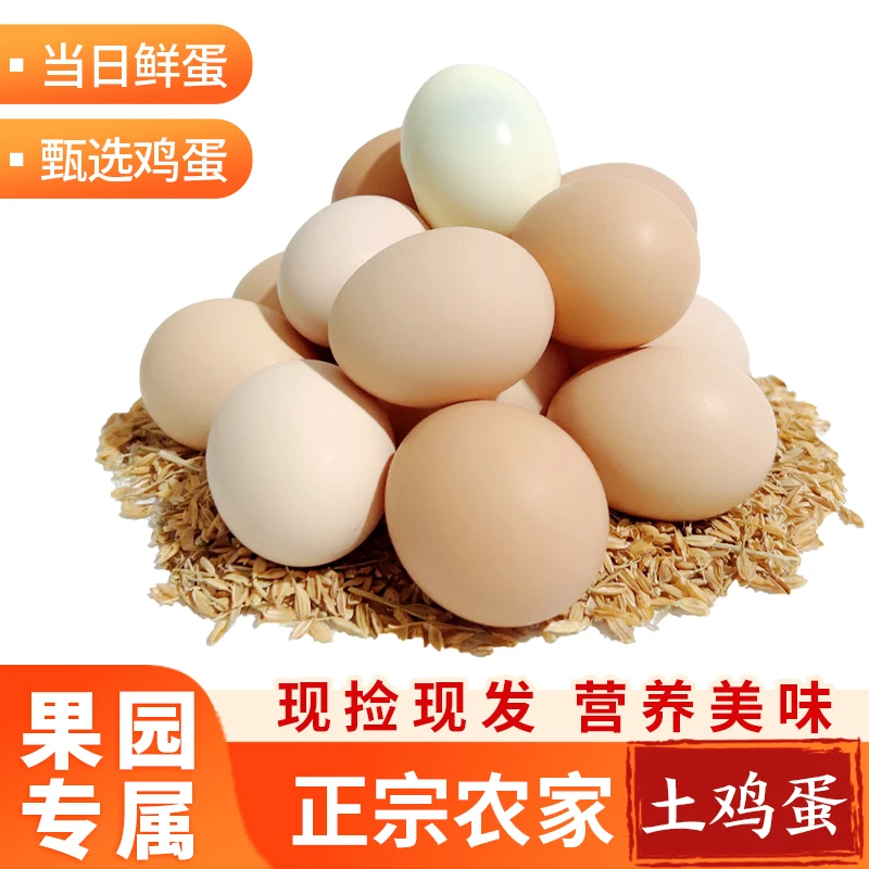 【土鸡蛋10枚】农家散养初生土鸡蛋柴鸡蛋单枚45g±5g