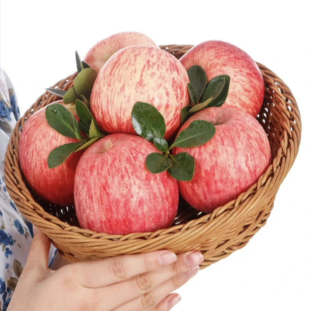 陕西红富士苹果当季新鲜现摘新鲜苹果产地直发脆甜多汁T