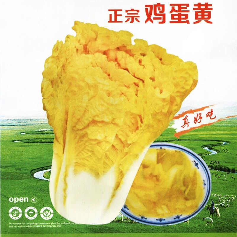 （全店满5包包邮）鸡蛋黄白菜种子秋季黄心大白菜籽四季蔬菜种孑