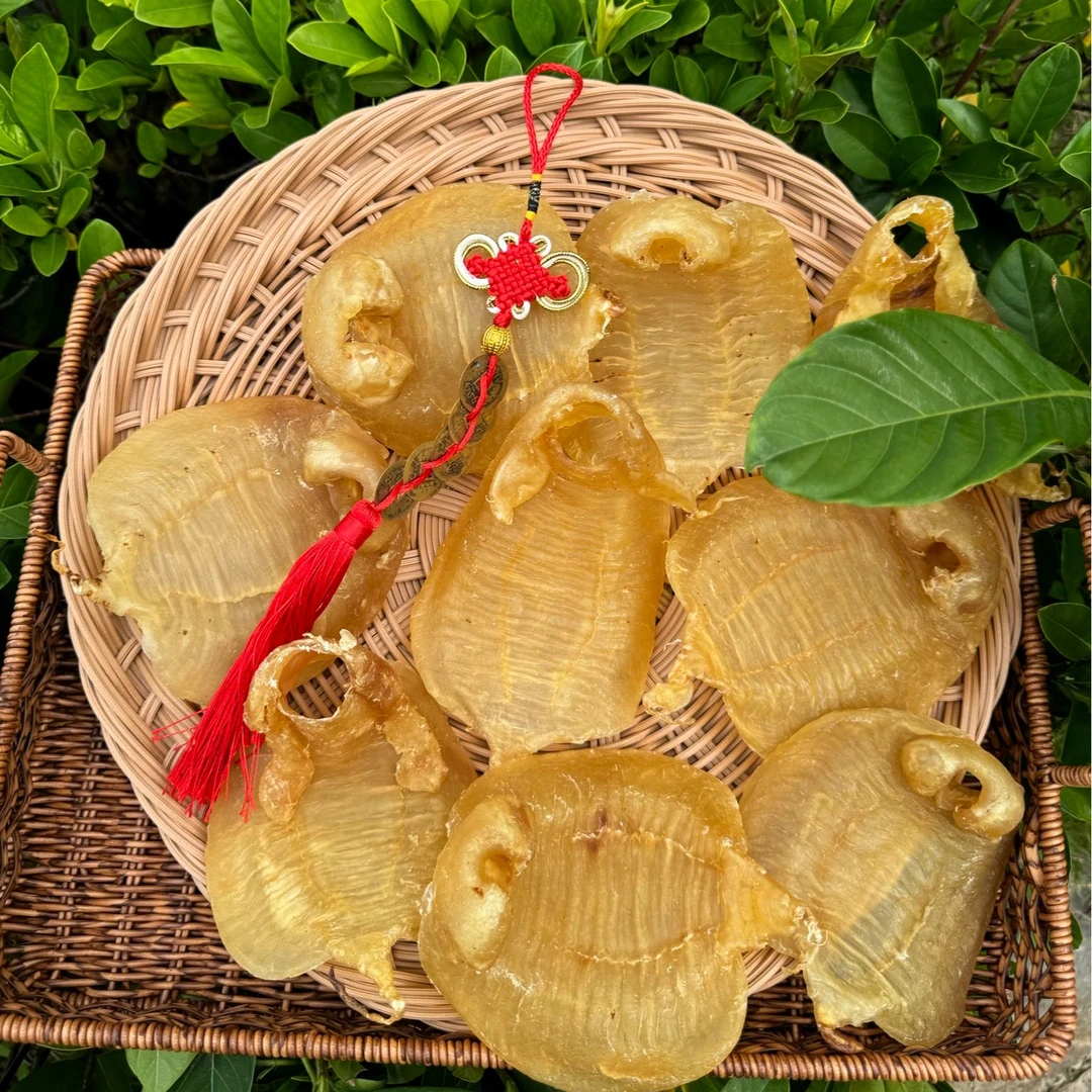 精选清水货金兰大耳赤嘴母湛江鳘鱼胶深海干货花胶营养滋补送罐子