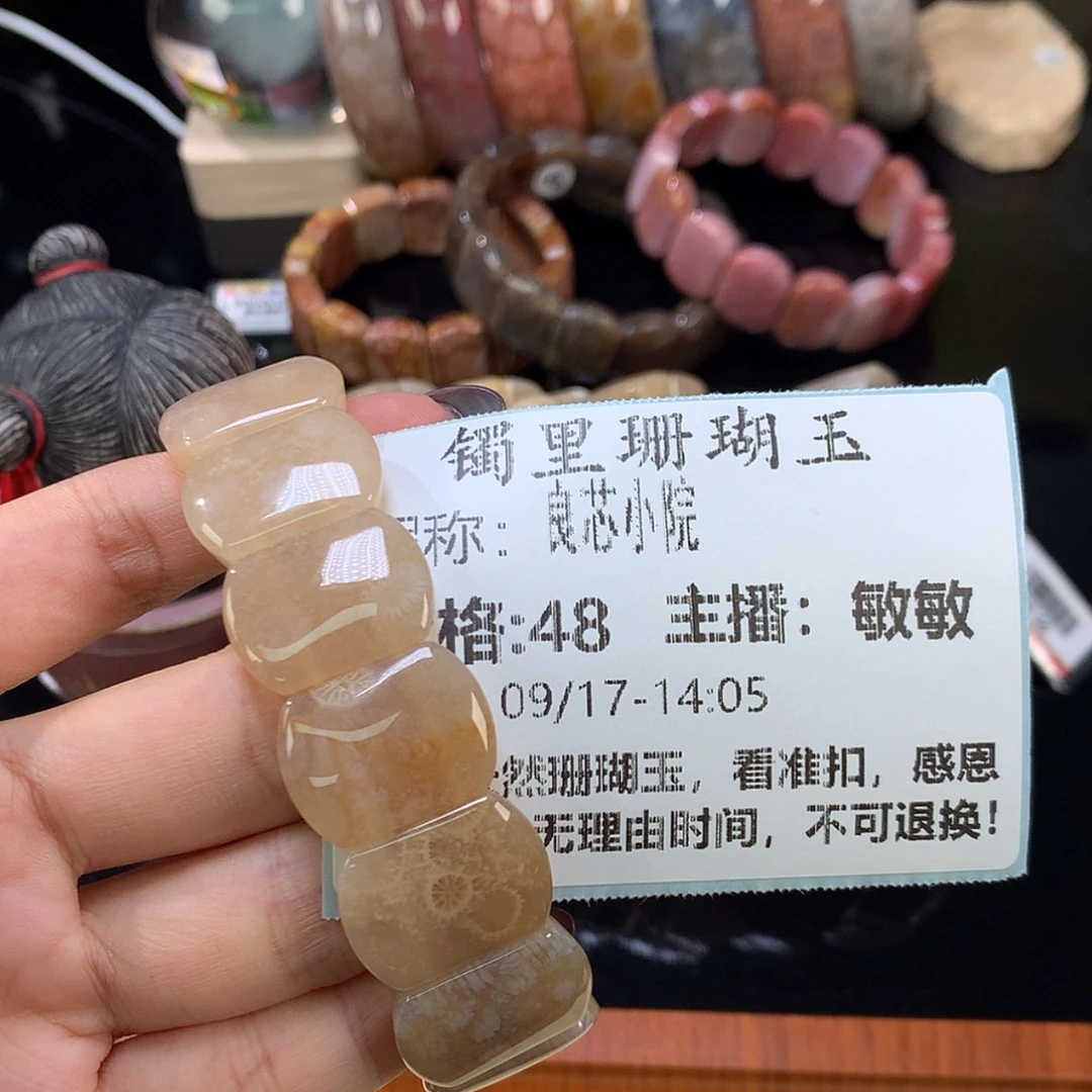 【闪购商品】颈饰未镶嵌硅化珊瑚（珊瑚玉）良**院