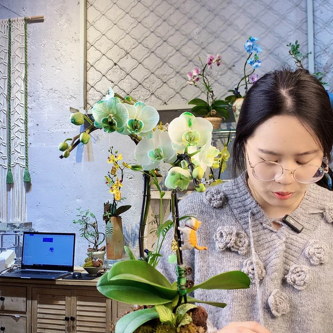 无花朵摸摸摸摸哦好可爱