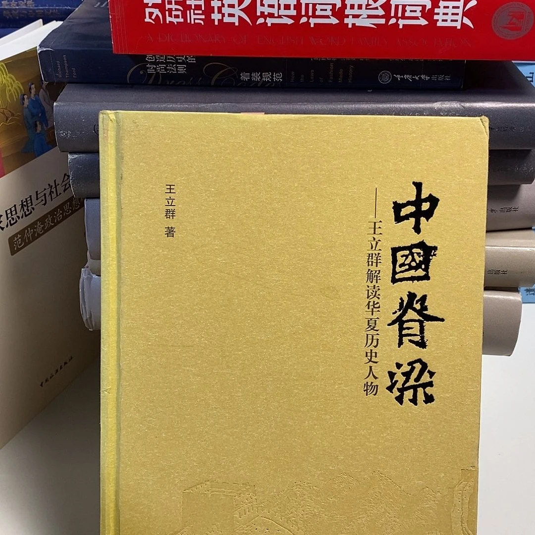 中国脊梁……王立群