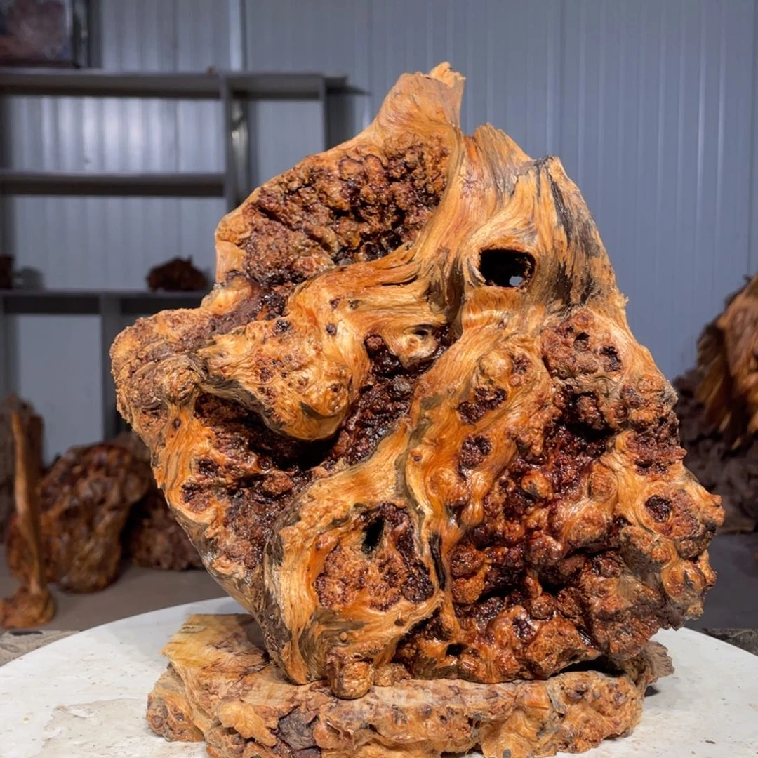 D***y木猛子琥珀木摆件16