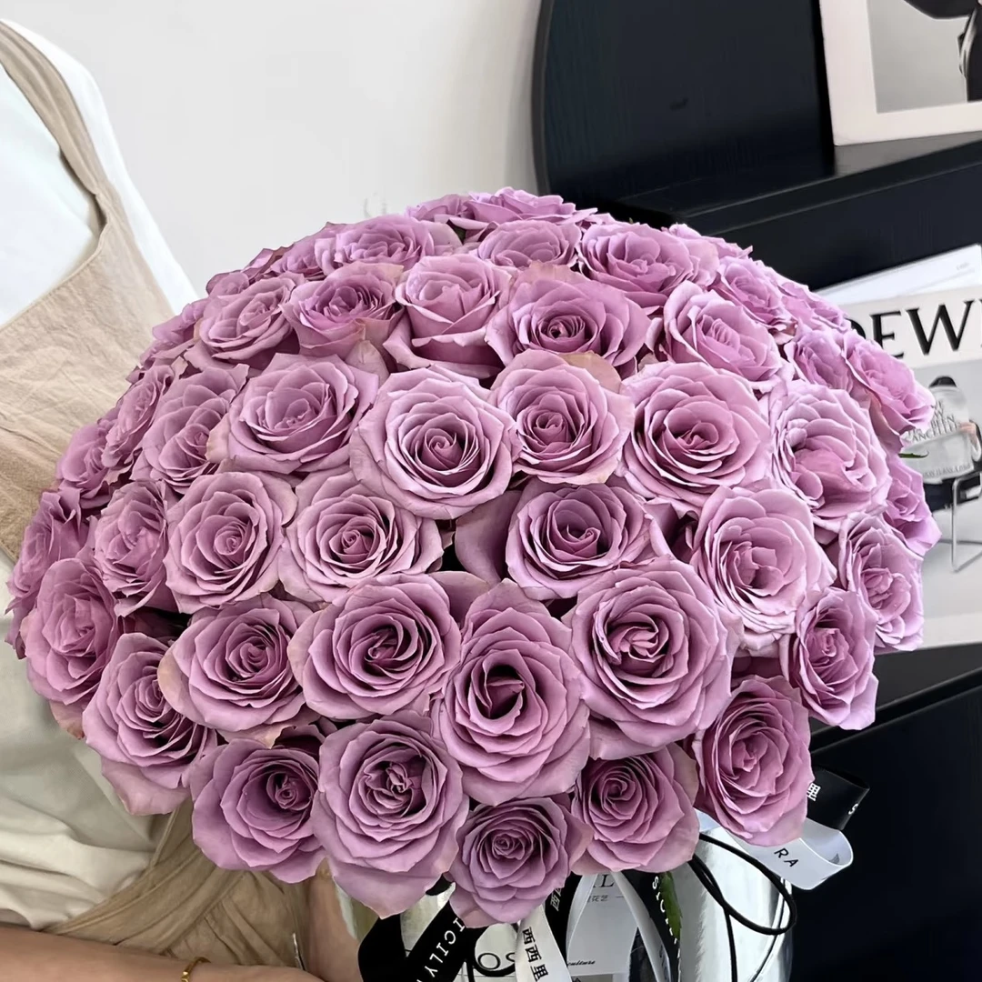 【紫霞仙子单头玫瑰10枝】顺丰包邮 脱水发货请先醒花  包包卖花