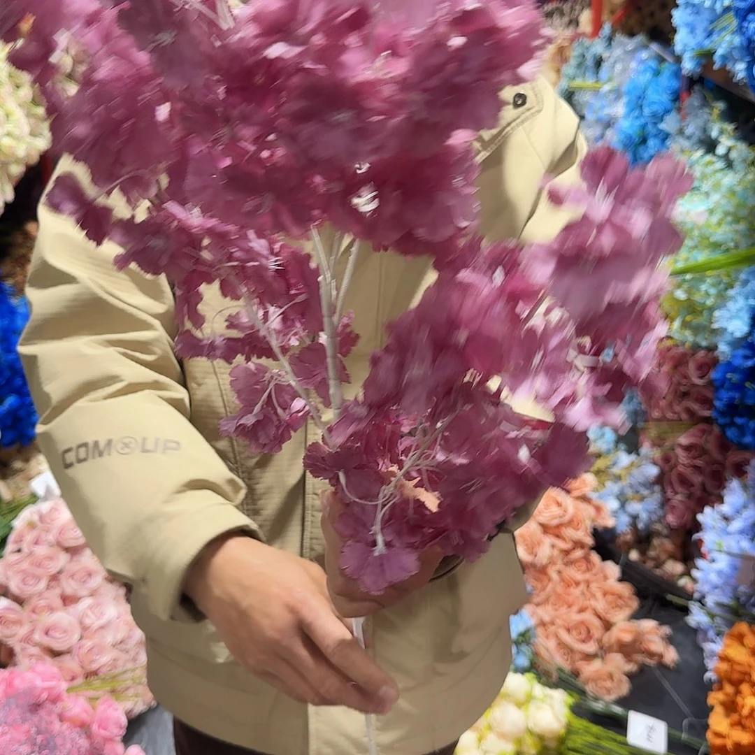 657号大支加密5支