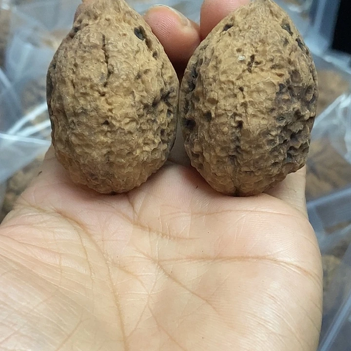 把件文玩核桃云南铁核桃基地68