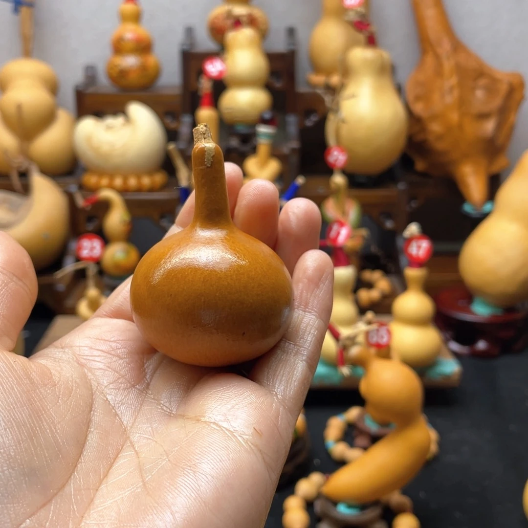 小*阳大自然的秘密是什么啊哈哈我