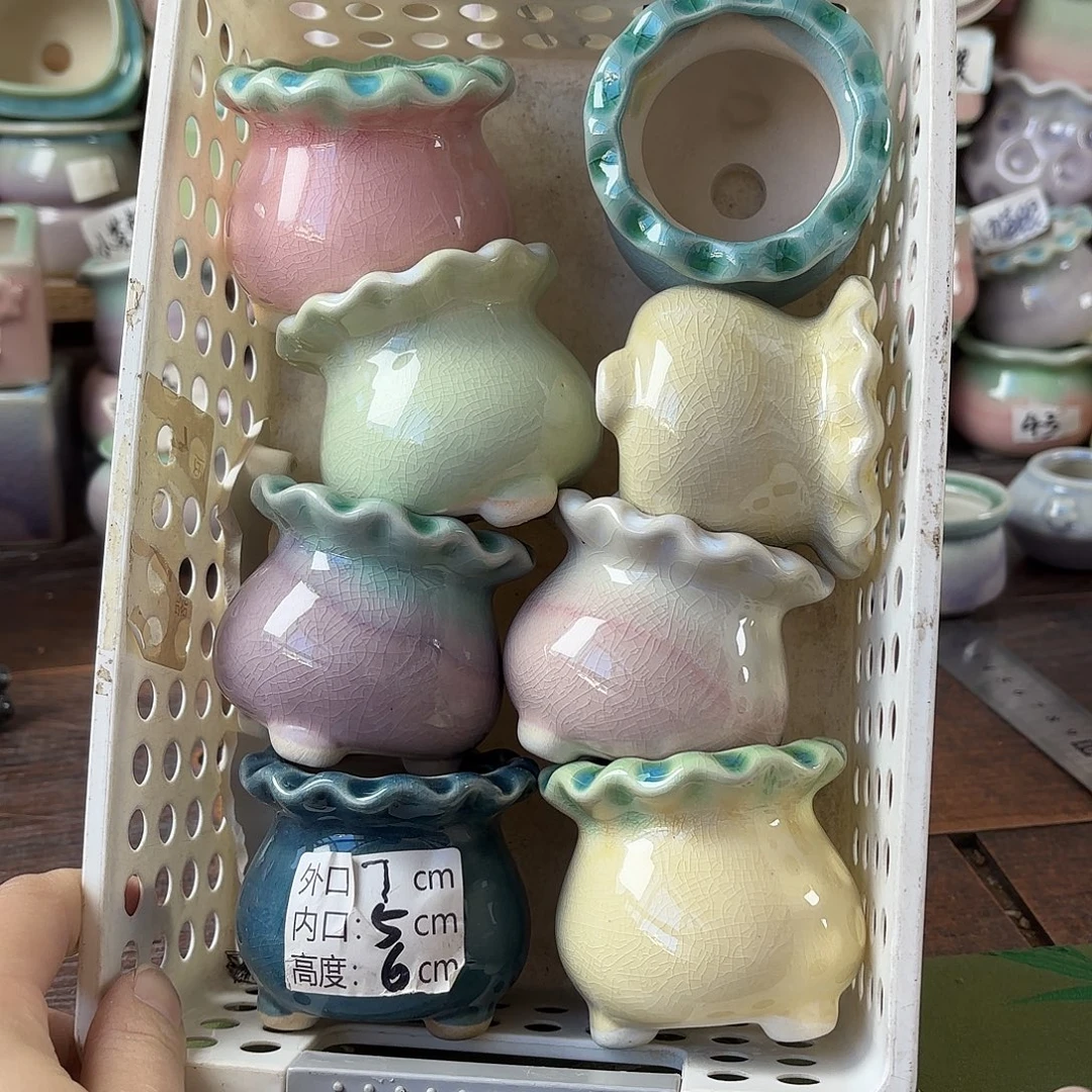 量货/5口高6深浅搭配发6