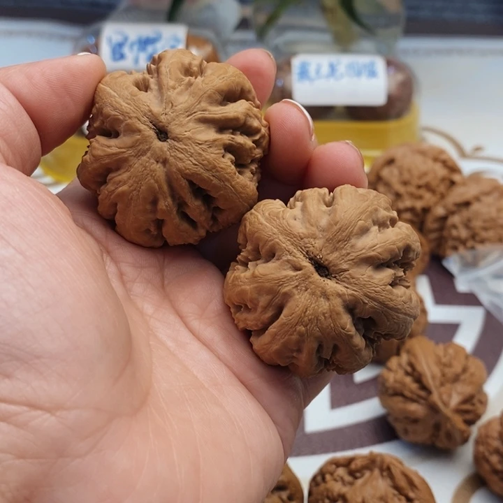 文玩核桃吊坠@****@霸王龙45尺