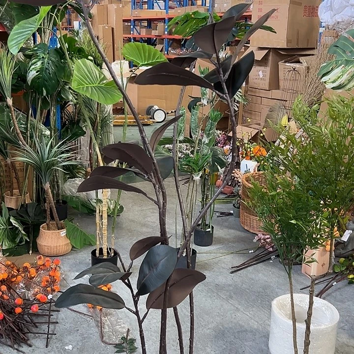 拍品大福利大福利