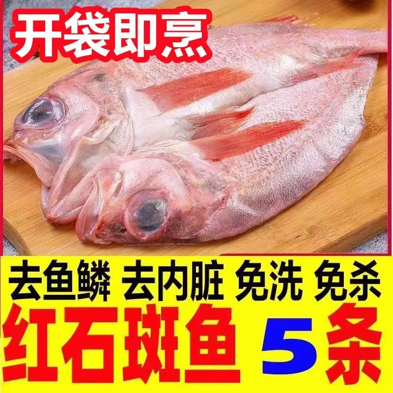 【发5斤到手5条】开背红石斑鱼免洗去脏深海石斑鱼大号Z