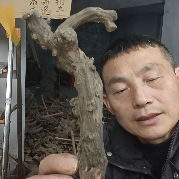 稳定木浮**梦贵州檬子木   铁马鞭   根艺  半成品