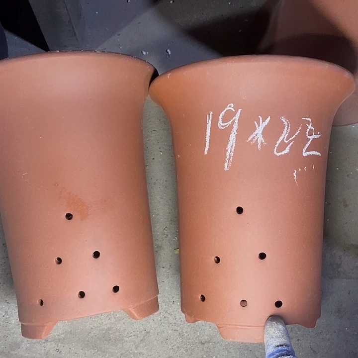 红陶紫砂紫砂紫砂